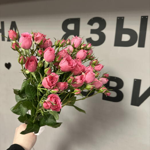 Кустовая розочка 3 веточки