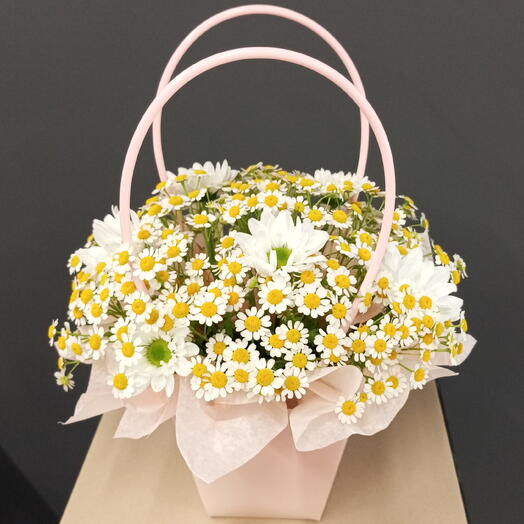 Суммочка с ромашками 🌼
