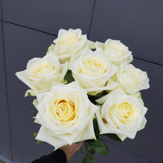 7 роз Эквадор