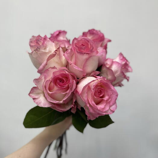 Розовые розы 7 шт