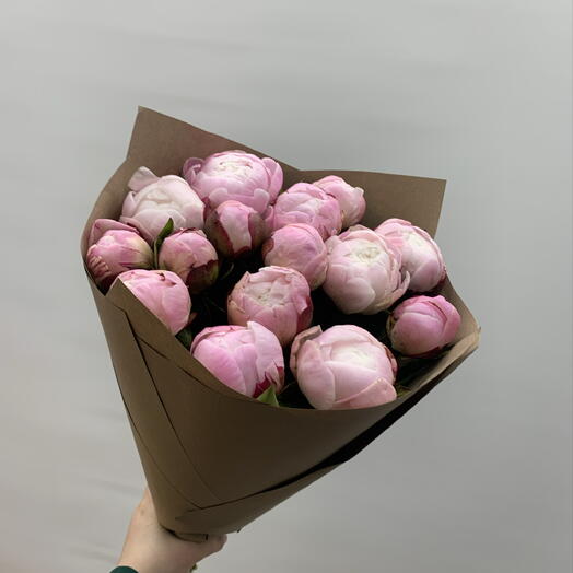 15 пионов Сара
