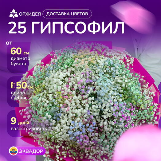 25 гипсофил радужных