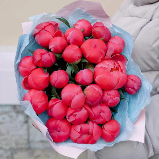 Букет из 25 коралловых пионов Coral Sunset Premium