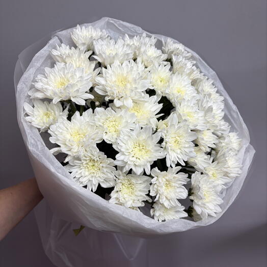 Букет из 7 кустовых хризантем в упаковке с лентой