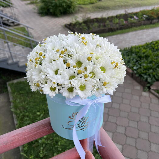 Ромашки в коробке