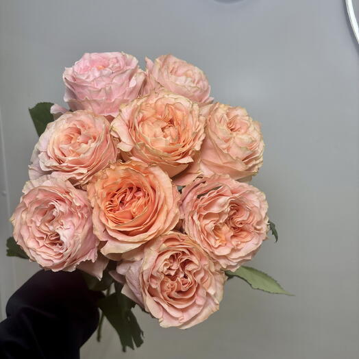 Букет из 9 роз перевязанный атласной лентой 🥰