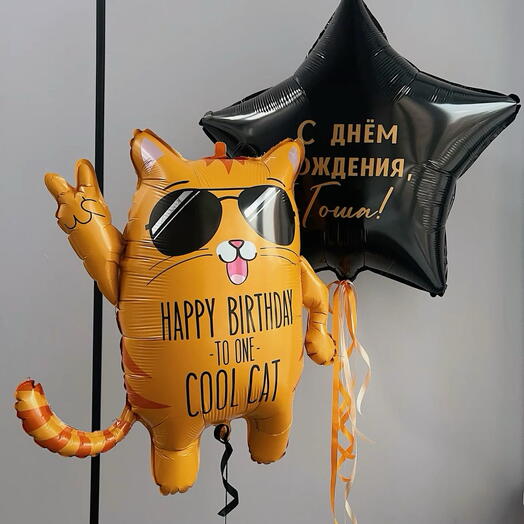 Шары с котом на день рождения: фольгированная фигура Cool Cat + звезда с надписью