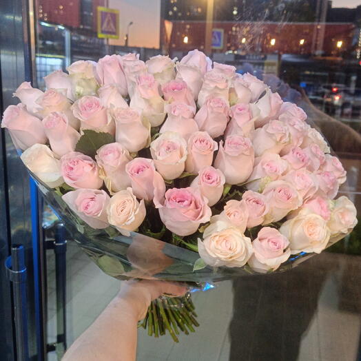 51 розовая роза 🌸Розовые розы