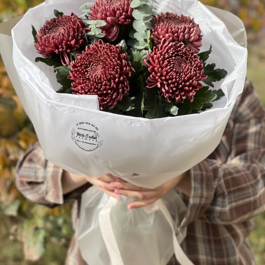 Необычный из одноголовых хризантем💌