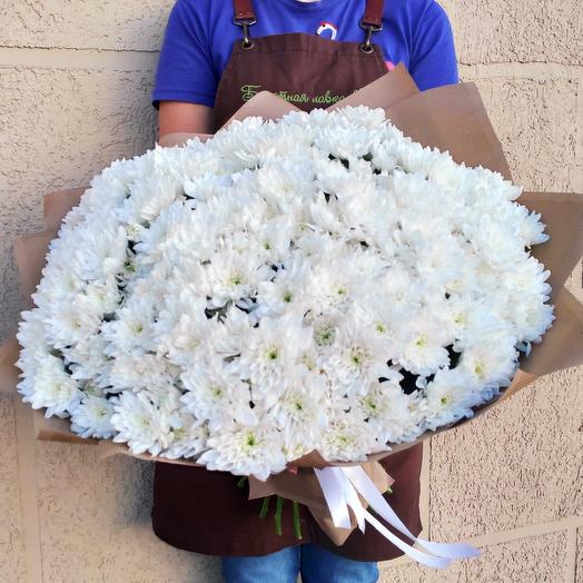 35 white chrysanthemum
