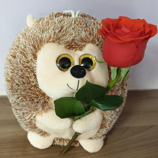 Ёжик с живой розой