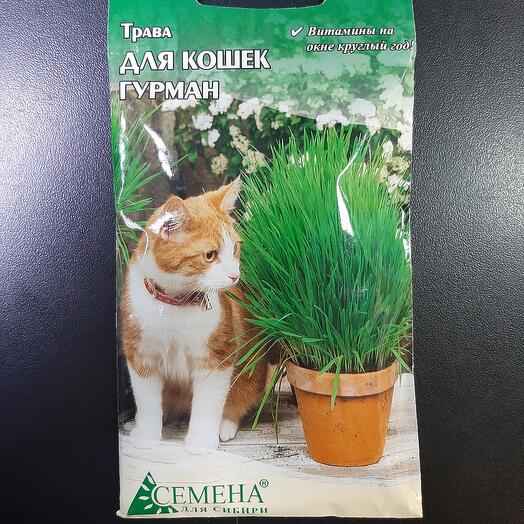 Трава для кошек Гурман