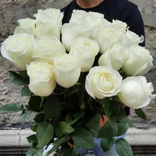 Rosas blancas 21