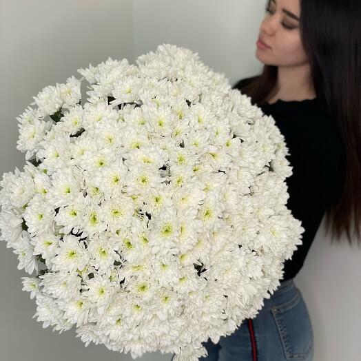 25 white chrysanthemums