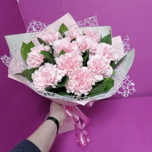 Dianthus" aéreo " 11pcs