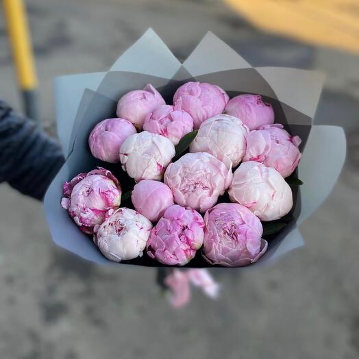 Bouquet of pink Peonies Sarah Bernhardt 15pcs