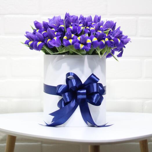 51 irises in a box