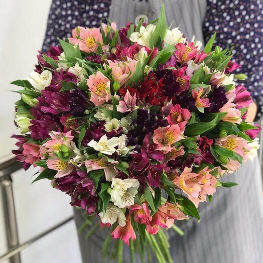✅ 29 alstroemeria