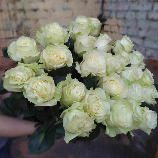 Букет из 25 белых роз