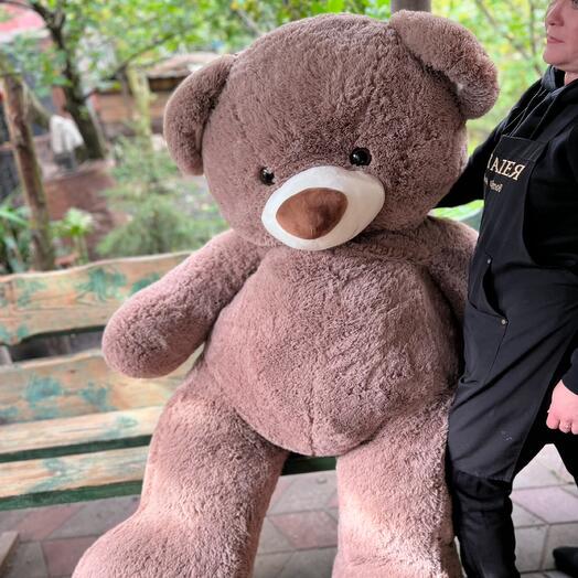 A huge teddy bear