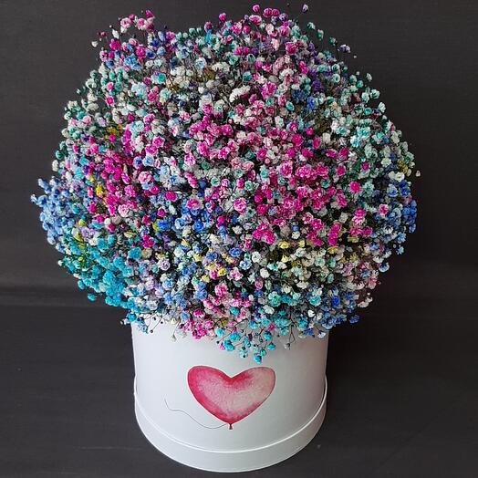 A large box of gypsophila