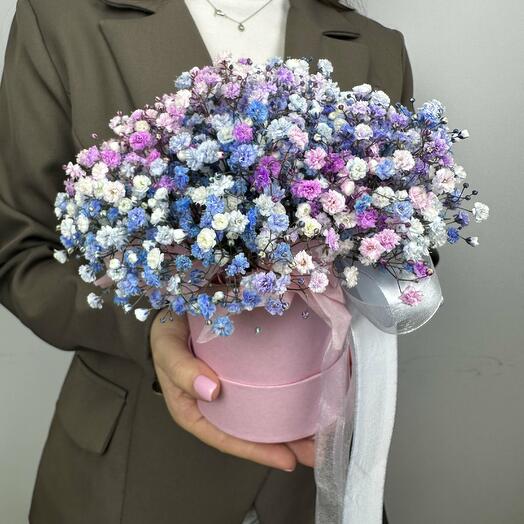 Delicate box of rainbow gypsophila