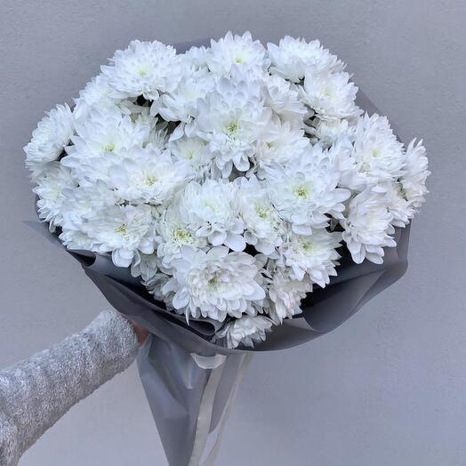 Chrysanthemum bush