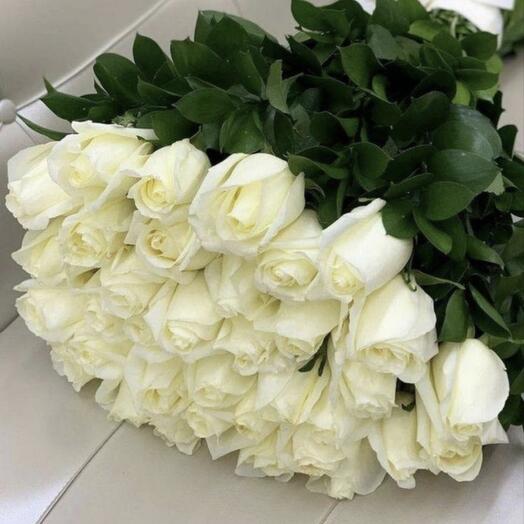 Rosas Holandesas