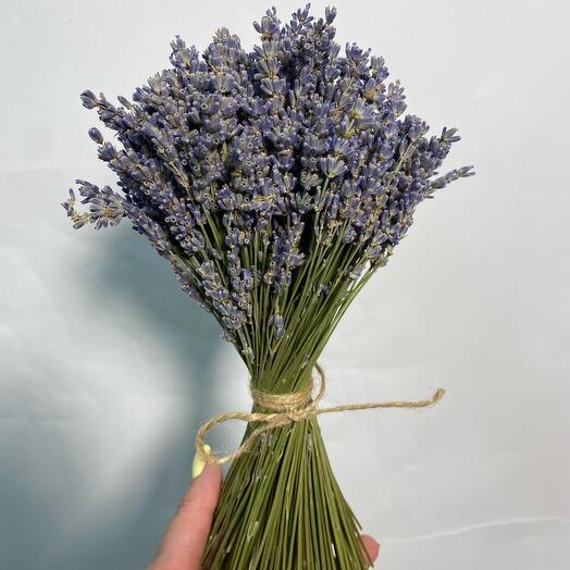 Lavanda en un ramo, flor seca