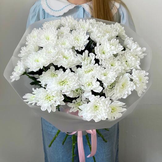 9 bush chrysanthemums Altai