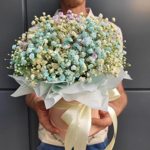 Caja de gypsophila