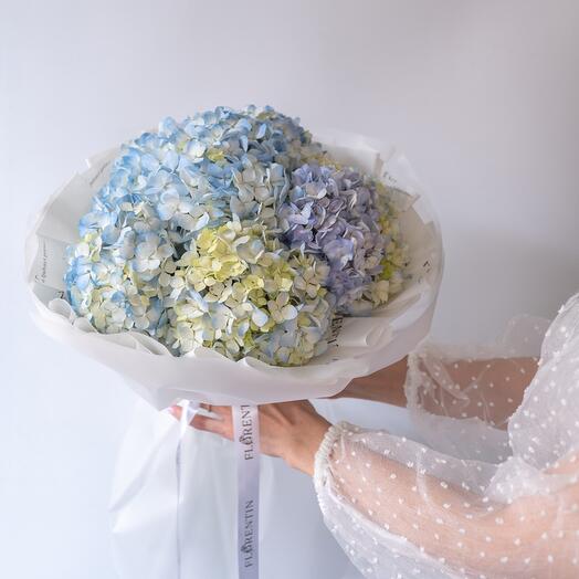 Buket od plavih hortenzija (7 pcs.)