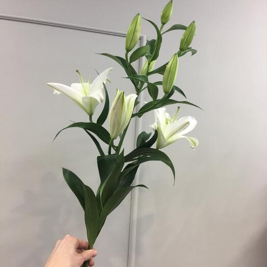 Lirio blanco 80 cm