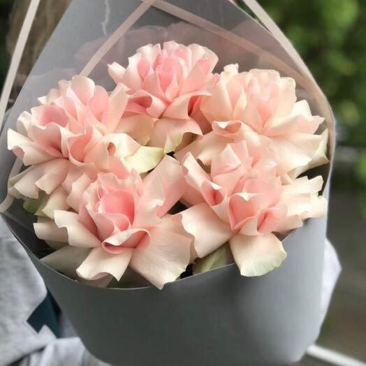 Нежный 🥰