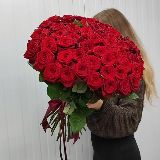 51роза сорта Red naomi