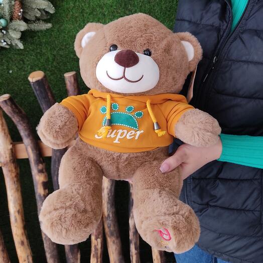 Teddy Bear toys