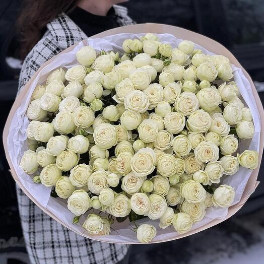 Peony-shaped bush roses