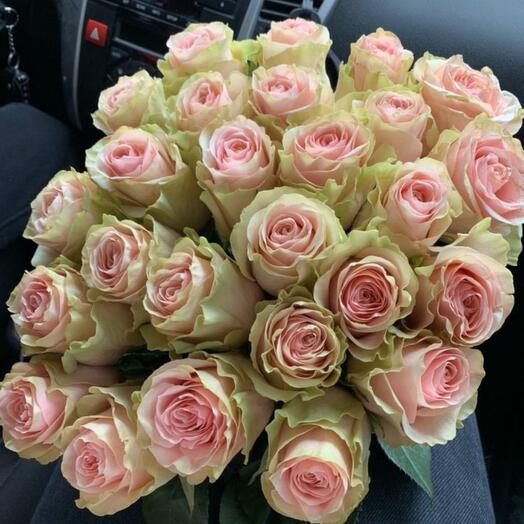 The most delicate pink roses