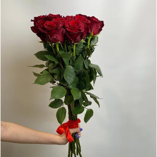 9 Ecuadorian Red Roses Explorer