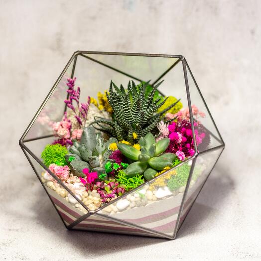 Florarium Icosahedron Bright M