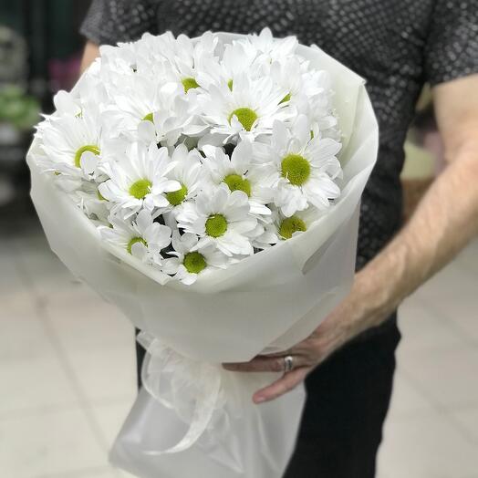 A cloud of chrysanthemums