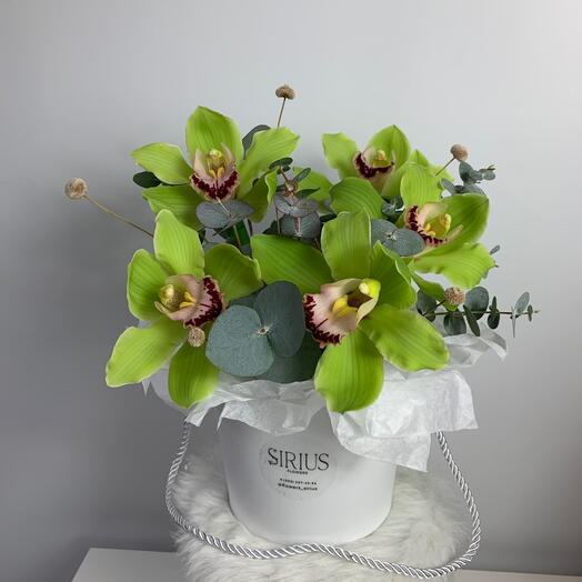 Flower arrangement of orchids