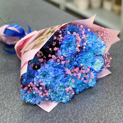 Ramo de crisantemo azul con gypsophila