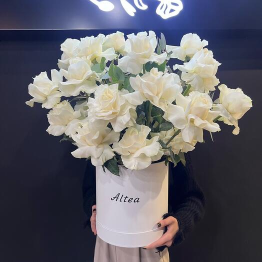 French white rose in box