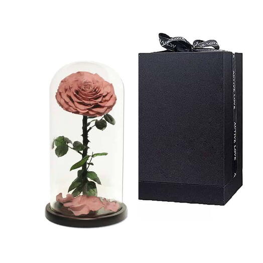 Glass Dome Vase With Single rose Caramel