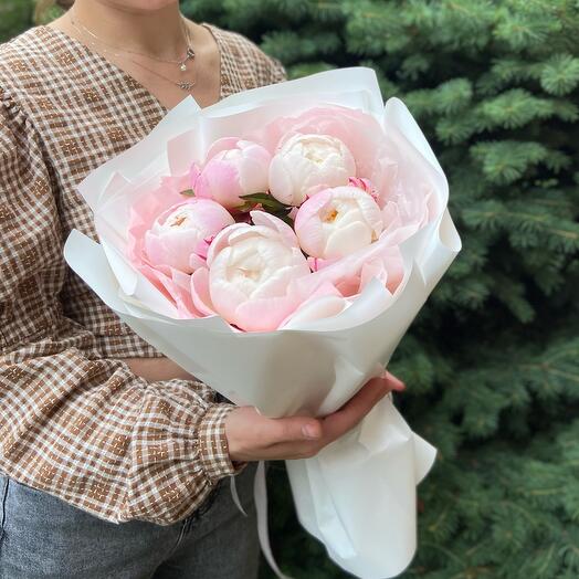 Розовые пионы