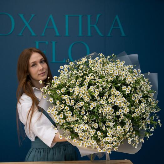 Букет ромашек (матрикарий), мелкая ромашка
