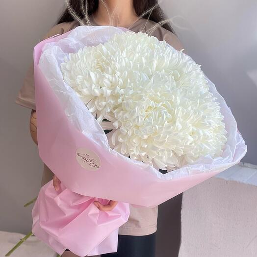 Large single-headed chrysanthemums