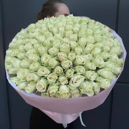101 white roses