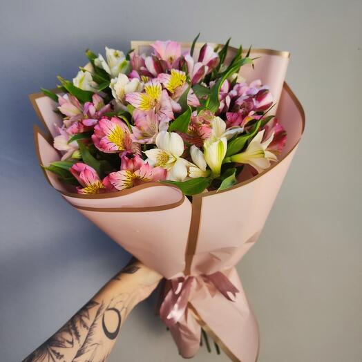 11 gentle alstroemeria